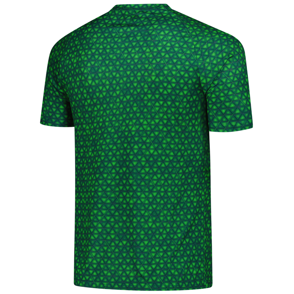 Manchester City Puma 2025/26 Pre-Match Training Jersey - Green