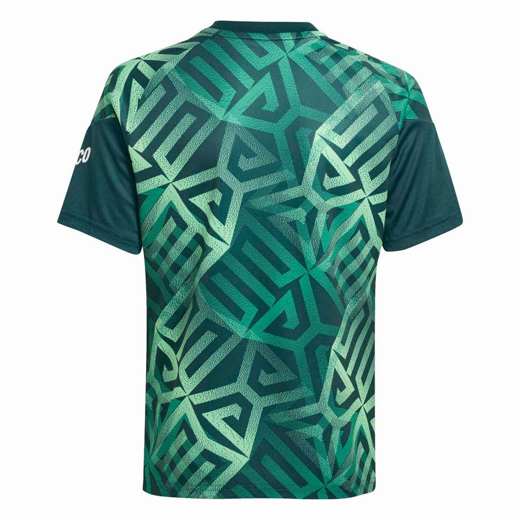 Mexico National Team adidas Youth 2026 Pre-Match Top - White